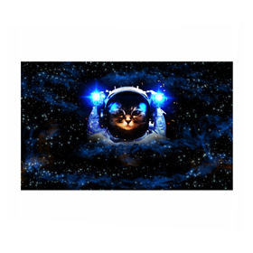 Бумага для упаковки 3D с принтом Кот космонавт в Кировске, пластик и полированная сталь | круглая форма, металлическое крепление в виде кольца | звёздное небо | космос | кот | кошка | прикольные картинки