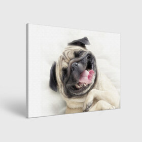 Холст прямоугольный с принтом Смешная собачка в Кировске, 100% ПВХ |  | Тематика изображения на принте: прикол | смешная | смешно | собака | язык