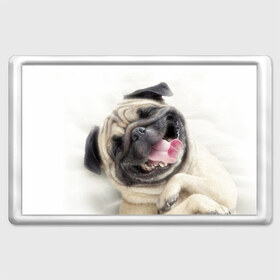 Магнит 45*70 с принтом Смешная собачка в Кировске, Пластик | Размер: 78*52 мм; Размер печати: 70*45 | прикол | смешная | смешно | собака | язык