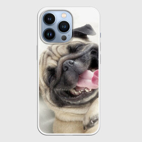 Чехол для iPhone 13 Pro с принтом Смешная собачка в Кировске,  |  | Тематика изображения на принте: прикол | смешная | смешно | собака | язык