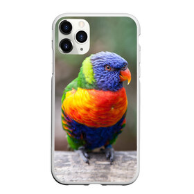 Чехол для iPhone 11 Pro матовый с принтом Попугай в Кировске, Силикон |  | пернатые | попугай | прикольные картинки | природа | птица