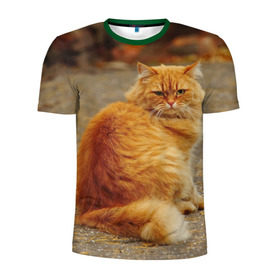 Мужская футболка 3D спортивная с принтом Рыжий кот в Кировске, 100% полиэстер с улучшенными характеристиками | приталенный силуэт, круглая горловина, широкие плечи, сужается к линии бедра | коты | кошки