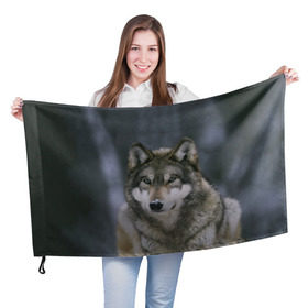 Флаг 3D с принтом Волк в лесу в Кировске, 100% полиэстер | плотность ткани — 95 г/м2, размер — 67 х 109 см. Принт наносится с одной стороны | 