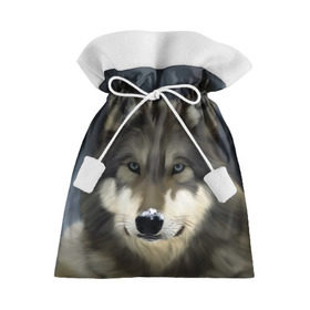 Подарочный 3D мешок с принтом Картина волк в Кировске, 100% полиэстер | Размер: 29*39 см | волк | животные | собака