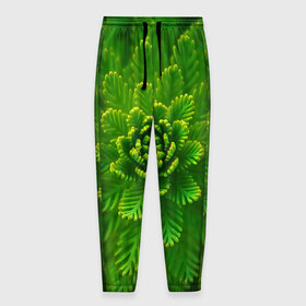 Мужские брюки 3D с принтом зеленый цветок в Кировске, 100% полиэстер | манжеты по низу, эластичный пояс регулируется шнурком, по бокам два кармана без застежек, внутренняя часть кармана из мелкой сетки | зелень | красота | лето | листья | солнце | цветок