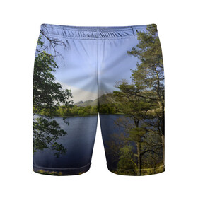 Мужские шорты 3D спортивные с принтом сосны в Кировске,  |  | берег | горы | лес | море | озеро | океан | сосны | тайга