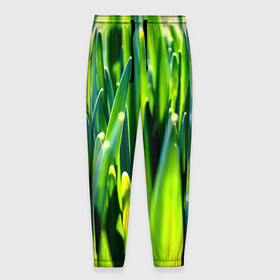 Мужские брюки 3D с принтом Трава в Кировске, 100% полиэстер | манжеты по низу, эластичный пояс регулируется шнурком, по бокам два кармана без застежек, внутренняя часть кармана из мелкой сетки | зелень | лето | природа | растения | солнце