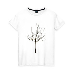 Женская футболка хлопок с принтом Веточка дерева в Кировске, 100% хлопок | прямой крой, круглый вырез горловины, длина до линии бедер, слегка спущенное плечо | ветка | дерево | класс | корки | круто | природа