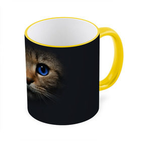 Кружка 3D с принтом Кот с синими глазами в Кировске, керамика | ёмкость 330 мл | Тематика изображения на принте: кот | котенок | кошка | мордочка