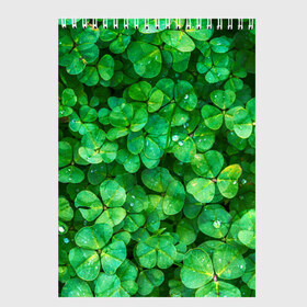 Скетчбук с принтом клевер в Кировске, 100% бумага
 | 48 листов, плотность листов — 100 г/м2, плотность картонной обложки — 250 г/м2. Листы скреплены сверху удобной пружинной спиралью | зелень | ирландия | клевер | лето | листья | солнце | цветы