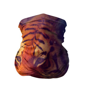 Бандана-труба 3D с принтом Тигр в Кировске, 100% полиэстер, ткань с особыми свойствами — Activecool | плотность 150‒180 г/м2; хорошо тянется, но сохраняет форму | лев | тигр
