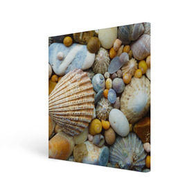 Холст квадратный с принтом Морские ракушки и камни в Кировске, 100% ПВХ |  | камни | море | морские камни | ракушки