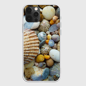 Чехол для iPhone 12 Pro с принтом Морские ракушки и камни в Кировске, силикон | область печати: задняя сторона чехла, без боковых панелей | Тематика изображения на принте: камни | море | морские камни | ракушки