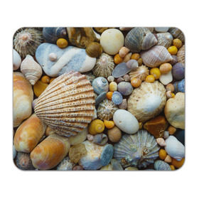 Коврик прямоугольный с принтом Морские ракушки и камни в Кировске, натуральный каучук | размер 230 х 185 мм; запечатка лицевой стороны | камни | море | морские камни | ракушки