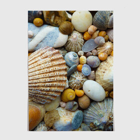Постер с принтом Морские ракушки и камни в Кировске, 100% бумага
 | бумага, плотность 150 мг. Матовая, но за счет высокого коэффициента гладкости имеет небольшой блеск и дает на свету блики, но в отличии от глянцевой бумаги не покрыта лаком | камни | море | морские камни | ракушки