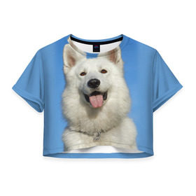 Женская футболка 3D укороченная с принтом белый пес в Кировске, 100% полиэстер | круглая горловина, длина футболки до линии талии, рукава с отворотами | dog | friend | взгляд | волк | друг | пес | собака | хаски