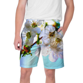 Мужские шорты 3D с принтом Ветка вишни в Кировске,  полиэстер 100% | прямой крой, два кармана без застежек по бокам. Мягкая трикотажная резинка на поясе, внутри которой широкие завязки. Длина чуть выше колен | весна | вишня | цветок