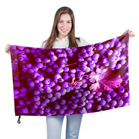 Флаг 3D с принтом Виноград в Кировске, 100% полиэстер | плотность ткани — 95 г/м2, размер — 67 х 109 см. Принт наносится с одной стороны | 