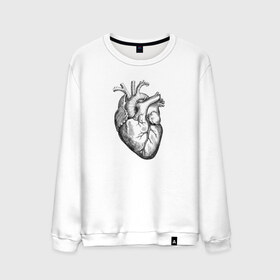 Мужской свитшот хлопок с принтом Heart в Кировске, 100% хлопок |  | вектор | карандаш | кардиология | кровь | мышца | орган | пульс | рисунок | сердце | черный