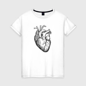 Женская футболка хлопок с принтом Heart в Кировске, 100% хлопок | прямой крой, круглый вырез горловины, длина до линии бедер, слегка спущенное плечо | вектор | карандаш | кардиология | кровь | мышца | орган | пульс | рисунок | сердце | черный