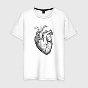 Мужская футболка хлопок с принтом Heart в Кировске, 100% хлопок | прямой крой, круглый вырез горловины, длина до линии бедер, слегка спущенное плечо. | вектор | карандаш | кардиология | кровь | мышца | орган | пульс | рисунок | сердце | черный