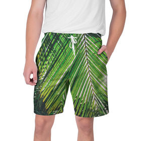 Мужские шорты 3D с принтом пальмы в Кировске,  полиэстер 100% | прямой крой, два кармана без застежек по бокам. Мягкая трикотажная резинка на поясе, внутри которой широкие завязки. Длина чуть выше колен | sea | summer | берег | лето | море | океан | отдых | пальмы | пляж | солнце