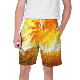 Мужские шорты 3D с принтом Пальмы в Кировске,  полиэстер 100% | прямой крой, два кармана без застежек по бокам. Мягкая трикотажная резинка на поясе, внутри которой широкие завязки. Длина чуть выше колен | sea | summer | берег | лето | море | океан | отдых | пальмы | пляж | солнце