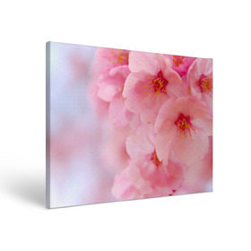 Холст прямоугольный с принтом Сакура в Кировске, 100% ПВХ |  | Тематика изображения на принте: весна | вишня | розовый | цветение | цветы | япония