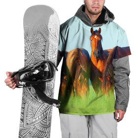 Накидка на куртку 3D с принтом Лошади в Кировске, 100% полиэстер |  | Тематика изображения на принте: 
