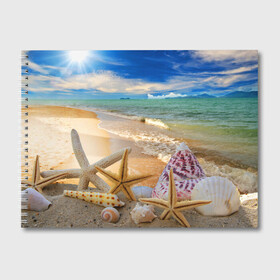 Альбом для рисования с принтом Морской пляж 2 в Кировске, 100% бумага
 | матовая бумага, плотность 200 мг. | море | отдых | отпуск | пляж | ракушки | туризм