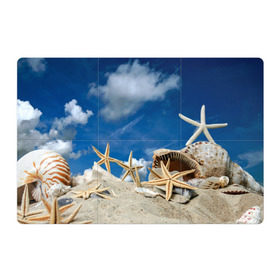 Магнитный плакат 3Х2 с принтом Морской пляж 3 в Кировске, Полимерный материал с магнитным слоем | 6 деталей размером 9*9 см | Тематика изображения на принте: море | отдых | отпуск | пляж | ракушки | туризм