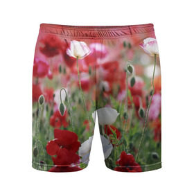 Мужские шорты 3D спортивные с принтом Маки в Кировске,  |  | field | flowers | meadow | poppies | red | white | белые | красные | луг | маки | поле | полевые | цветы