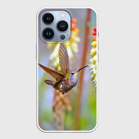 Чехол для iPhone 13 Pro с принтом Колибри в Кировске,  |  | Тематика изображения на принте: лепесток | новая | природа | птичка | цветок | яркая