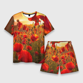 Мужской костюм с шортами 3D с принтом Маки в Кировске,  |  | field | flowers | meadow | nature | poppies | red | sky | summer | sun | sunset | wild | закат | красные | лето | луг | маки | небо | поле | полевые | природа | солнце | цветы