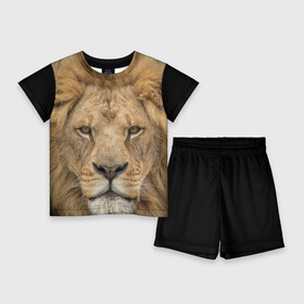 Детский костюм с шортами 3D с принтом Лев в Кировске,  |  | Тематика изображения на принте: грива | джунгли | животные | зверь | король | кровь | лев | охотник | хищник | царь