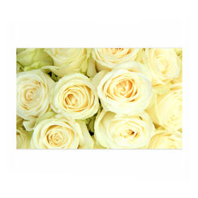 Бумага для упаковки 3D с принтом Белые розы в Кировске, пластик и полированная сталь | круглая форма, металлическое крепление в виде кольца | лепестки | розы | цветы