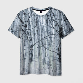 Мужская футболка 3D с принтом Русские берёзки в Кировске, 100% полиэфир | прямой крой, круглый вырез горловины, длина до линии бедер | береза | красиво | лес | природа | русская | русские | фото