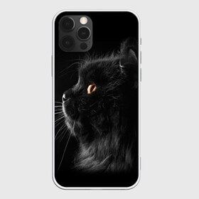 Чехол для iPhone 12 Pro Max с принтом Милая кошечка в Кировске, Силикон |  | osfenemy | животное | животные | киса | кошечка | кошка | милая | мур | мяу | фото | черный