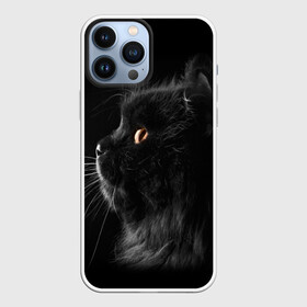Чехол для iPhone 13 Pro Max с принтом Милая кошечка в Кировске,  |  | Тематика изображения на принте: osfenemy | животное | животные | киса | кошечка | кошка | милая | мур | мяу | фото | черный
