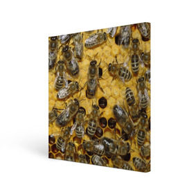 Холст квадратный с принтом Пчела в Кировске, 100% ПВХ |  | лето | мед | насекомые | оса | природа | пчелы | шмель