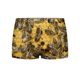 Мужские трусы 3D с принтом Пчела в Кировске, 50% хлопок, 50% полиэстер | классическая посадка, на поясе мягкая тканевая резинка | лето | мед | насекомые | оса | природа | пчелы | шмель