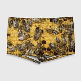 Мужские купальные плавки 3D с принтом Пчела в Кировске, Полиэстер 85%, Спандекс 15% |  | Тематика изображения на принте: лето | мед | насекомые | оса | природа | пчелы | шмель