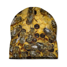 Шапка 3D с принтом Пчела в Кировске, 100% полиэстер | универсальный размер, печать по всей поверхности изделия | лето | мед | насекомые | оса | природа | пчелы | шмель