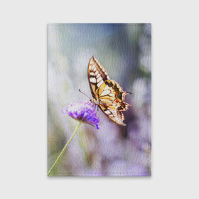Обложка для паспорта матовая кожа с принтом Бабочка 1 в Кировске, натуральная матовая кожа | размер 19,3 х 13,7 см; прозрачные пластиковые крепления | бабочки | прикольные картинки | природа | цветы