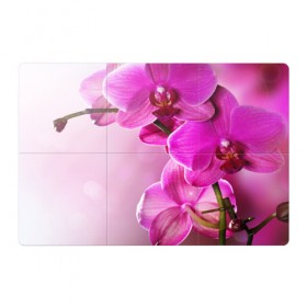 Магнитный плакат 3Х2 с принтом Орхидея в Кировске, Полимерный материал с магнитным слоем | 6 деталей размером 9*9 см | Тематика изображения на принте: 