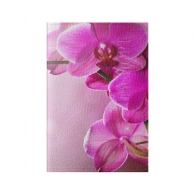 Обложка для паспорта матовая кожа с принтом Орхидея в Кировске, натуральная матовая кожа | размер 19,3 х 13,7 см; прозрачные пластиковые крепления | 