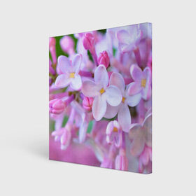 Холст квадратный с принтом Сирень в Кировске, 100% ПВХ |  | лепестки | прикольные картинки | цветочки | цветы