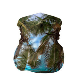 Бандана-труба 3D с принтом Пальма в Кировске, 100% полиэстер, ткань с особыми свойствами — Activecool | плотность 150‒180 г/м2; хорошо тянется, но сохраняет форму | море | отдых | отпуск | пальмы | пляж | солнце | туризм