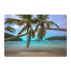 Магнитный плакат 3Х2 с принтом Пальма в Кировске, Полимерный материал с магнитным слоем | 6 деталей размером 9*9 см | Тематика изображения на принте: море | отдых | отпуск | пальмы | пляж | солнце | туризм