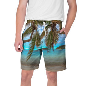 Мужские шорты 3D с принтом Пальма в Кировске,  полиэстер 100% | прямой крой, два кармана без застежек по бокам. Мягкая трикотажная резинка на поясе, внутри которой широкие завязки. Длина чуть выше колен | море | отдых | отпуск | пальмы | пляж | солнце | туризм